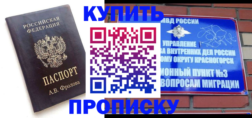 прописка поиск в Димитровграде